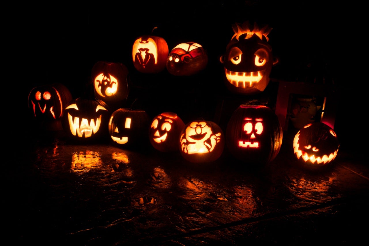 2014 Lab Pumpkins