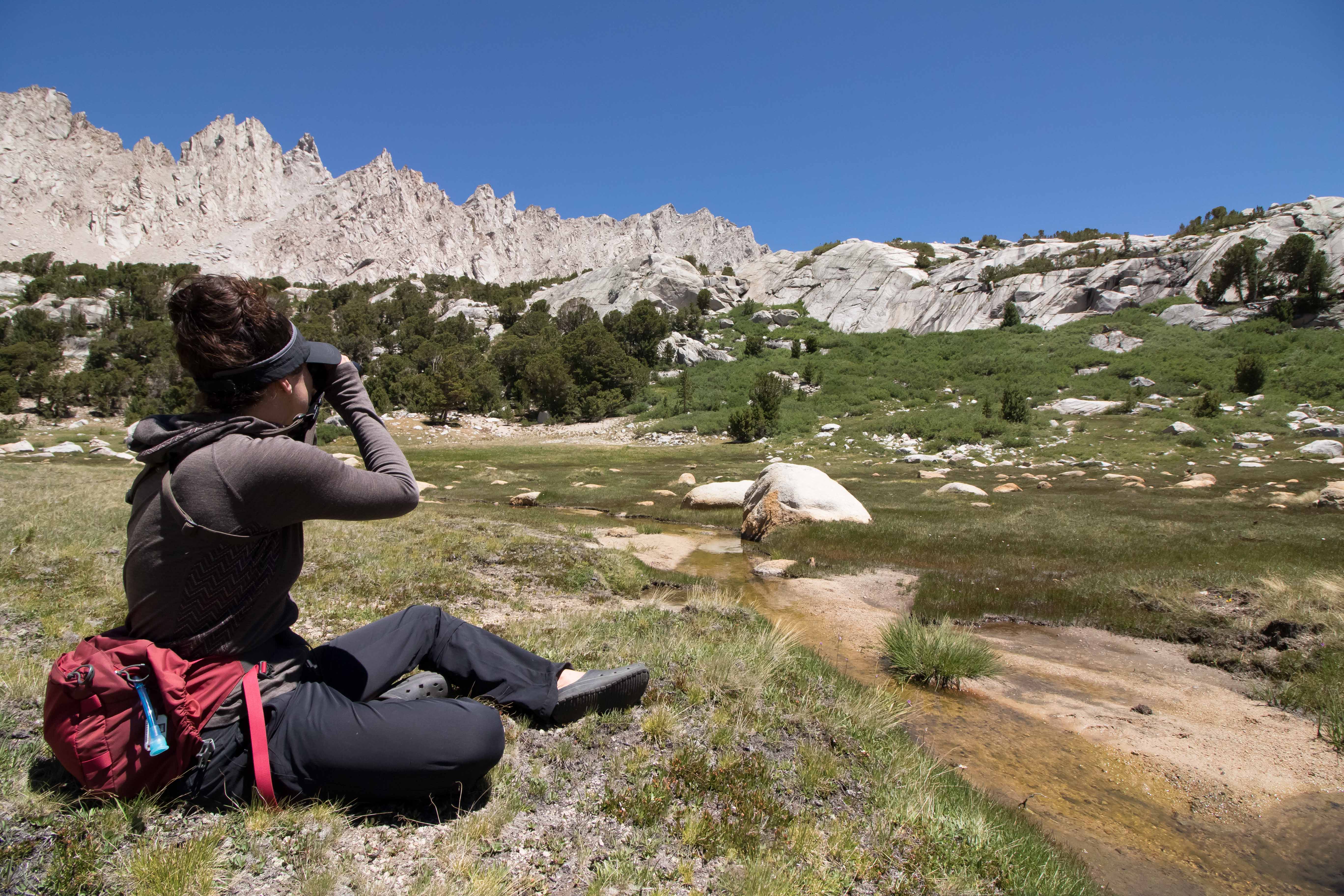 One of Mary Clapp's field sites in Sequoia/Kings Canyon NP 2016