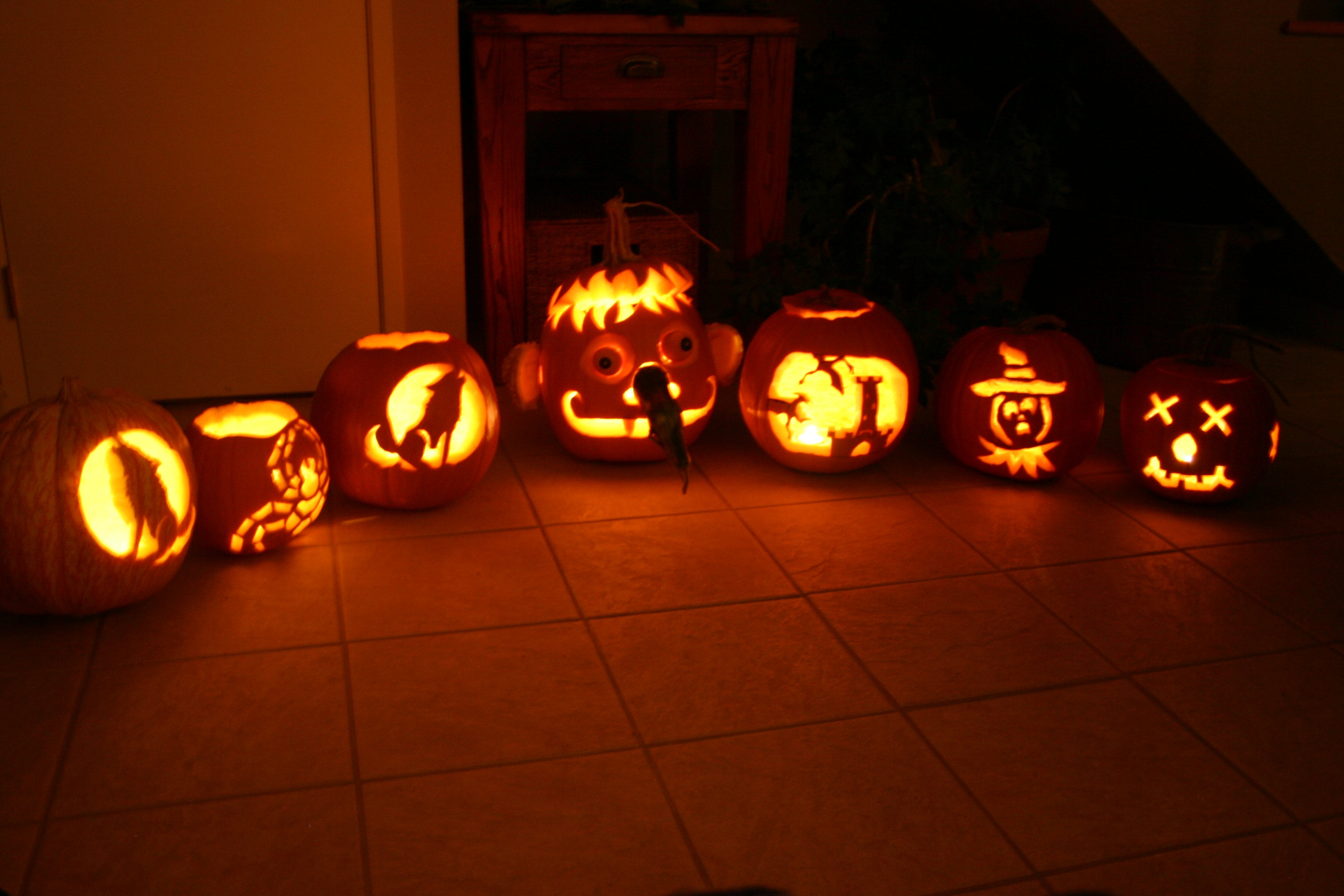 2006 Lab Pumpkins