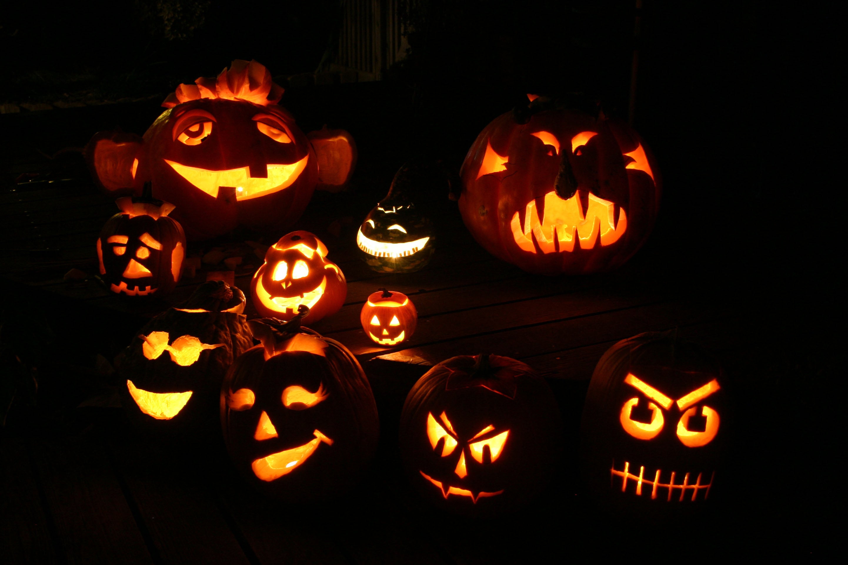 2007 Lab Pumpkins