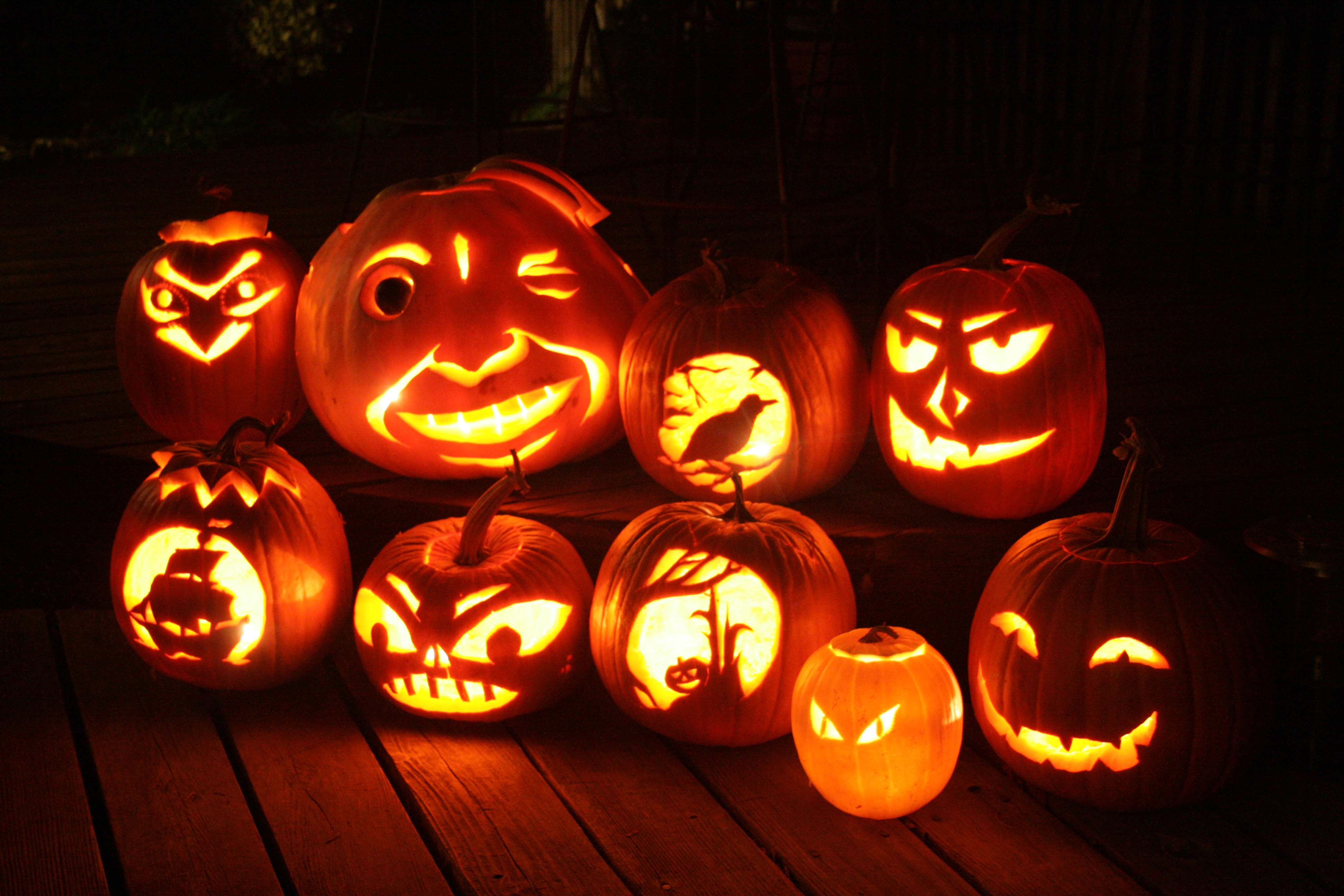 2008 Lab pumpkins
