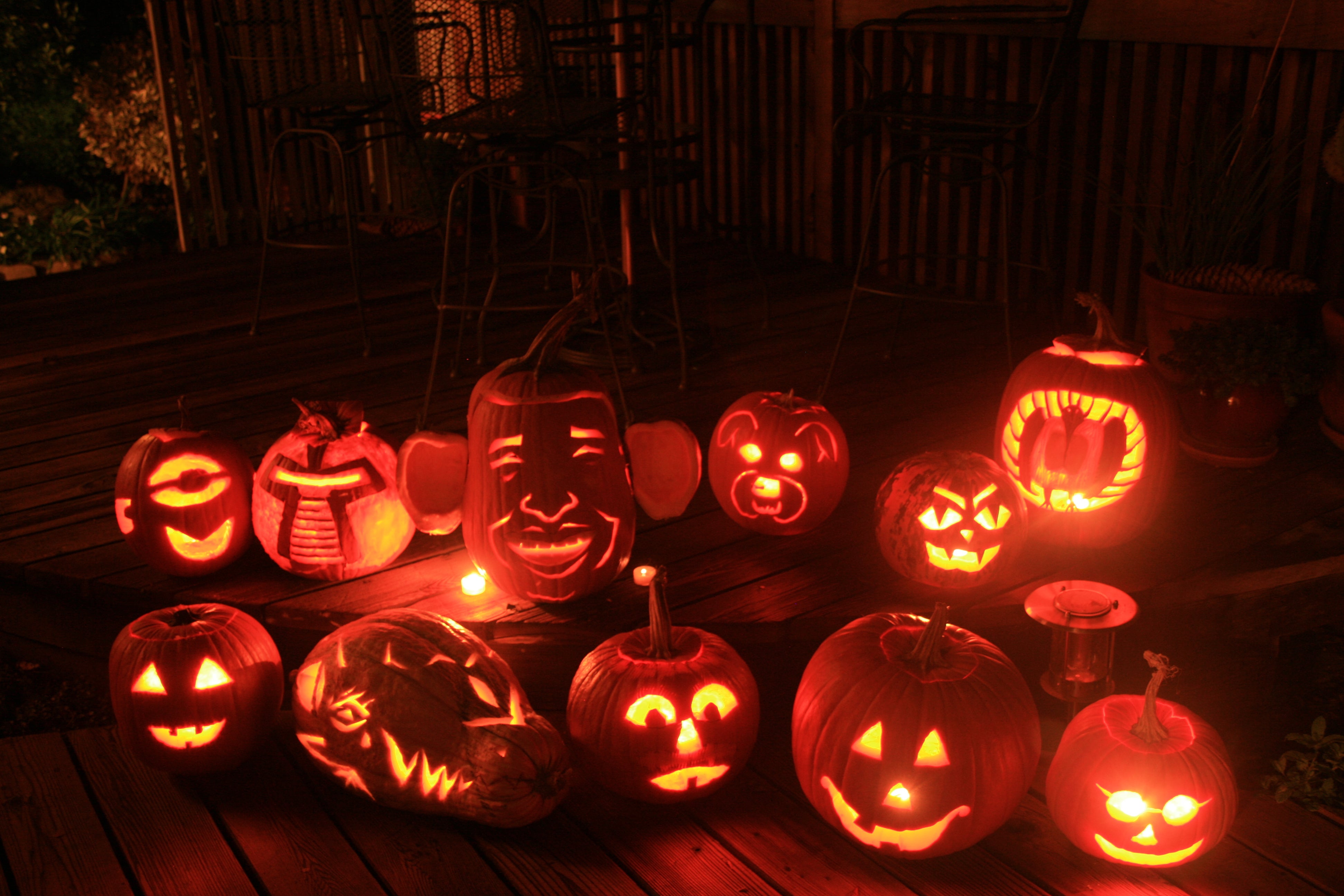2009 Lab Pumpkins