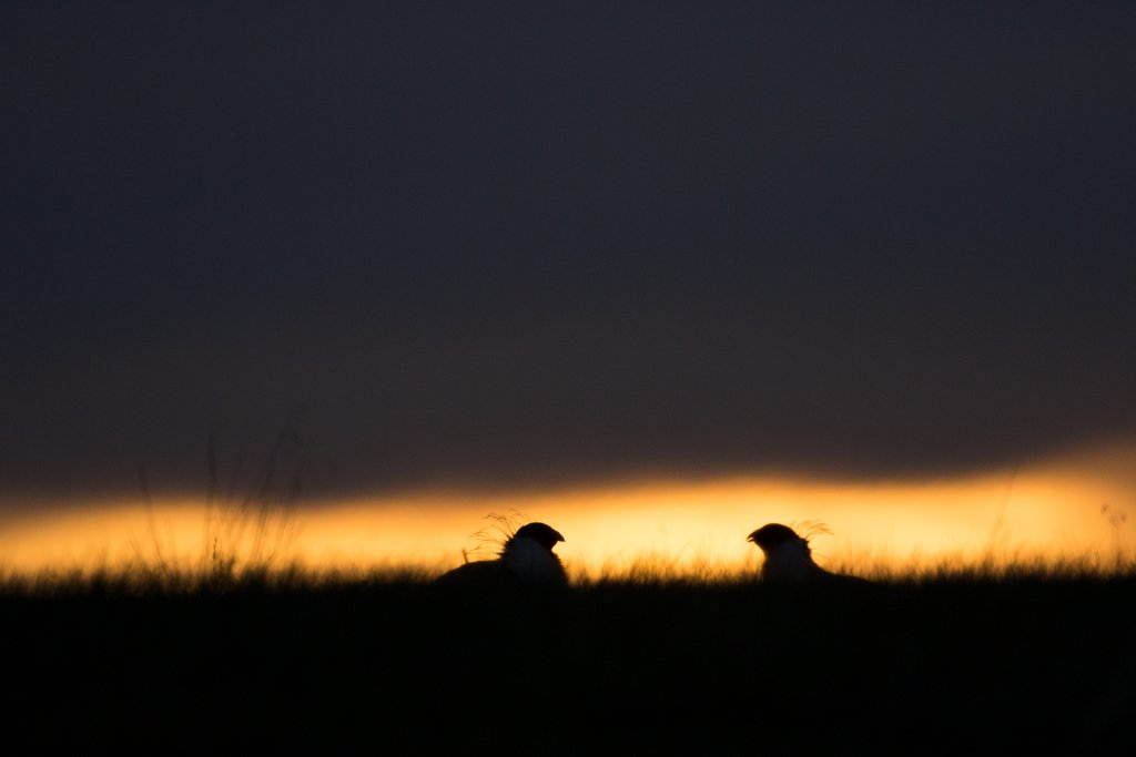 Tense negotiations on Chugwater, 2016