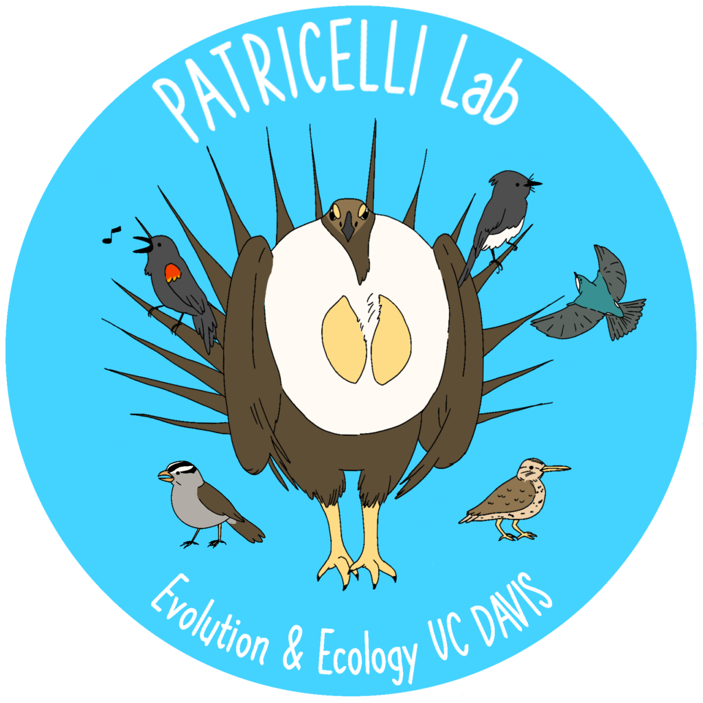 Patricelli Lab Logo