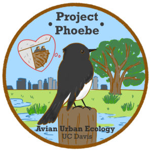 Project Phoebe Logo (by Ian Haliburton)