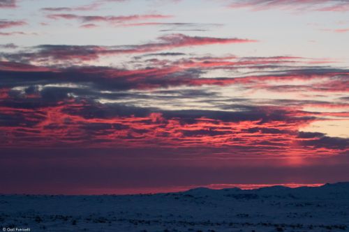 Sunrise from a lek in Wyoming 2017