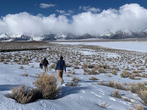 Field work Wyoming 2019